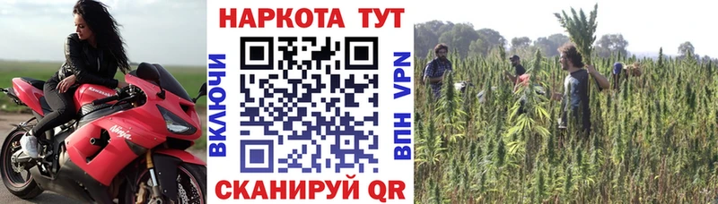 Продажа наркотиков Котлас Амфетамин Кокаин Псилоцибиновые грибы Кодеин A PVP Меф мяу мяу Канабис