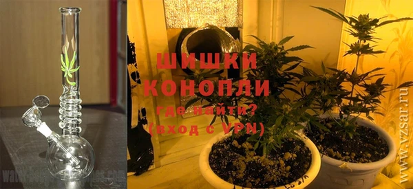 ешки Белокуриха