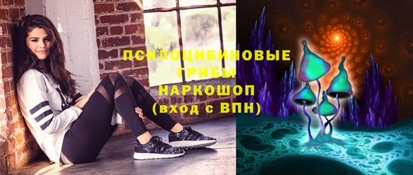 ешки Белокуриха