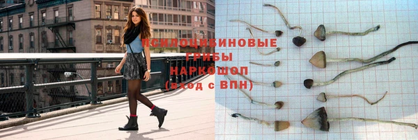 ешки Белокуриха